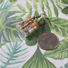 Load image into Gallery viewer, Protection Affirmation Jar Earrings